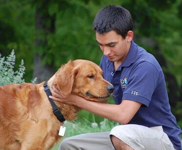 Canine Therapy at Calo Teens