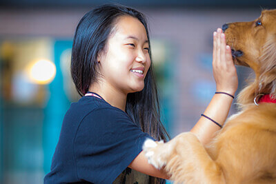 Calo Teens is the first residential treatment facility to incorporate canine therapy