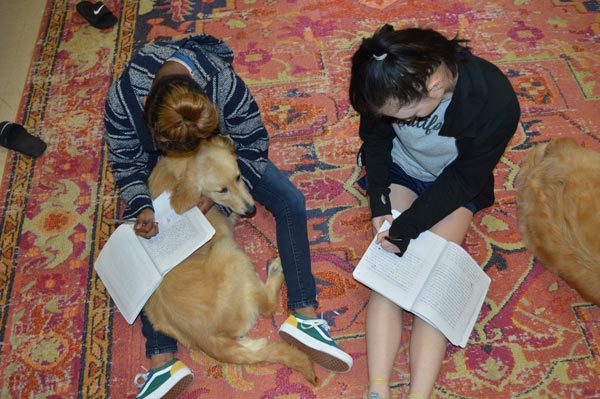 Two teen girls doing homework with their canines